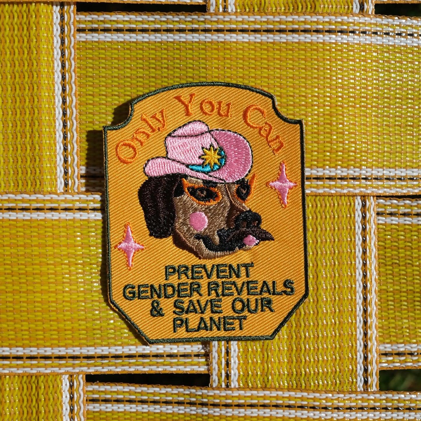 Gender Reveals Patch