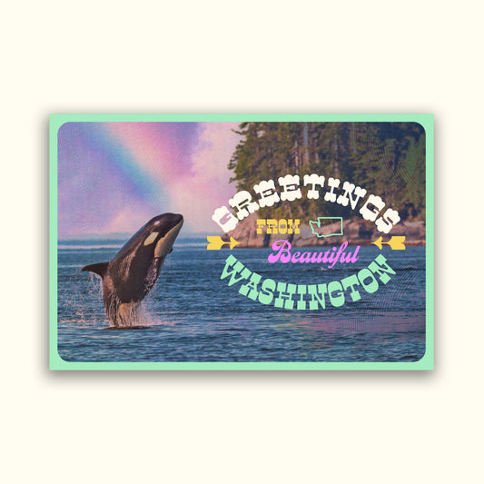Greetings from Washington Orca Postcard
