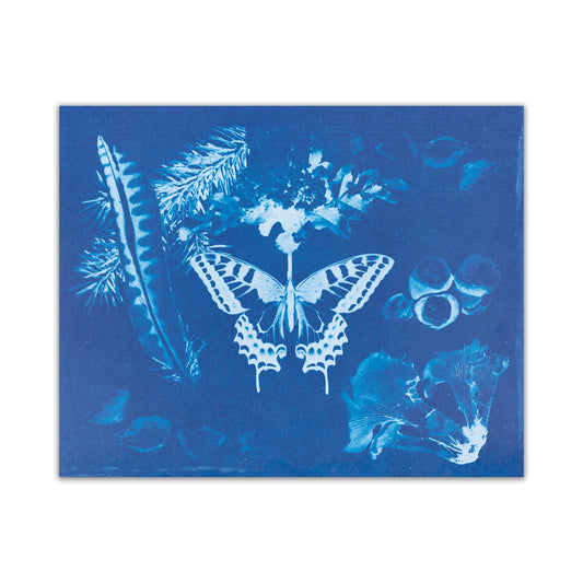 OR Cyanotype Print