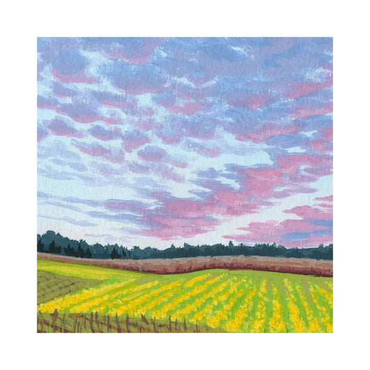 Catherine Freshley: Sunset in Wine Country Landscape Print