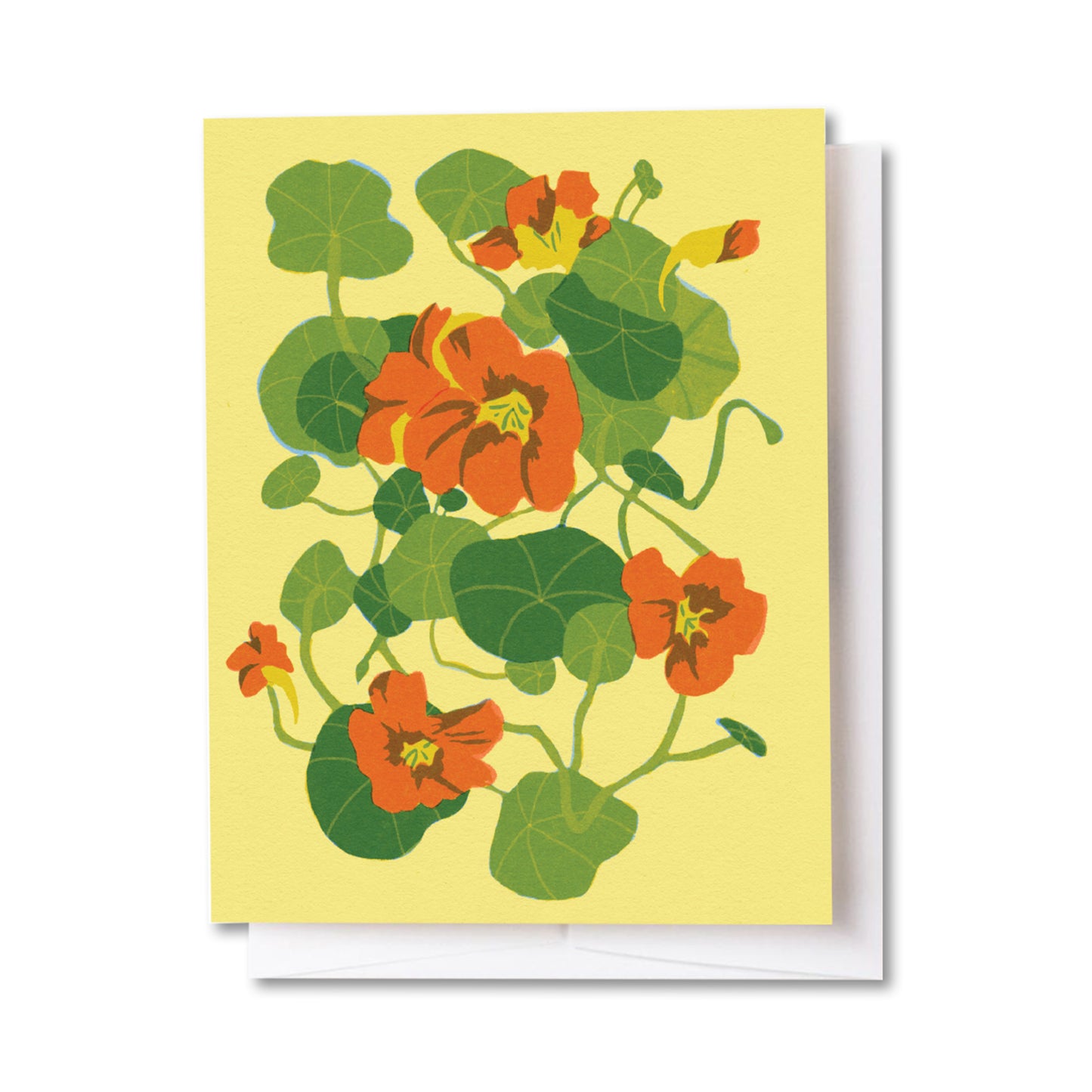 Nasturtium Flower Card