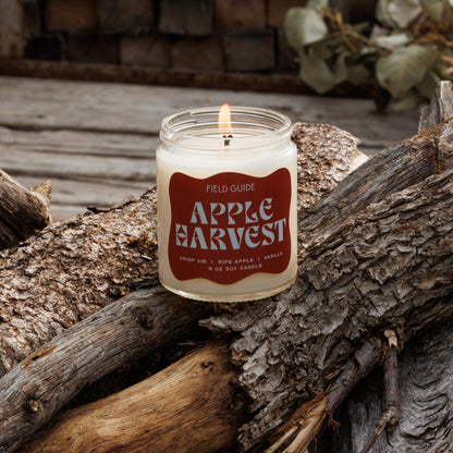 Apple Harvest Holiday Candle