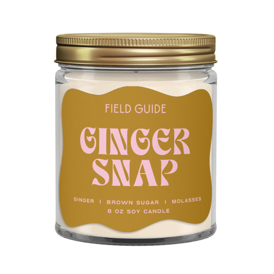 Ginger Snap Holiday Candle