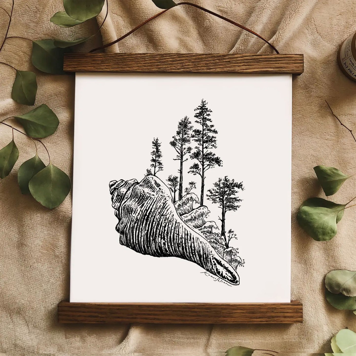 Kaari & Co: Forested Sitka Spruce Seashell Print