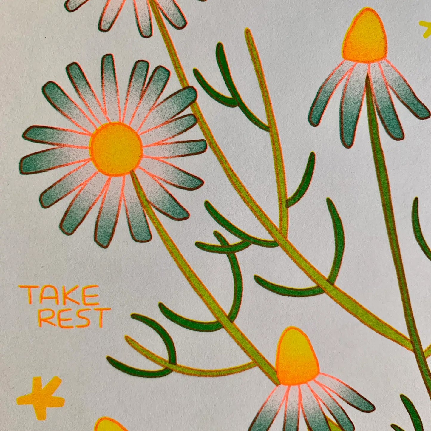 Katie Blanchard: Calm Like Chamomile Risograph Print