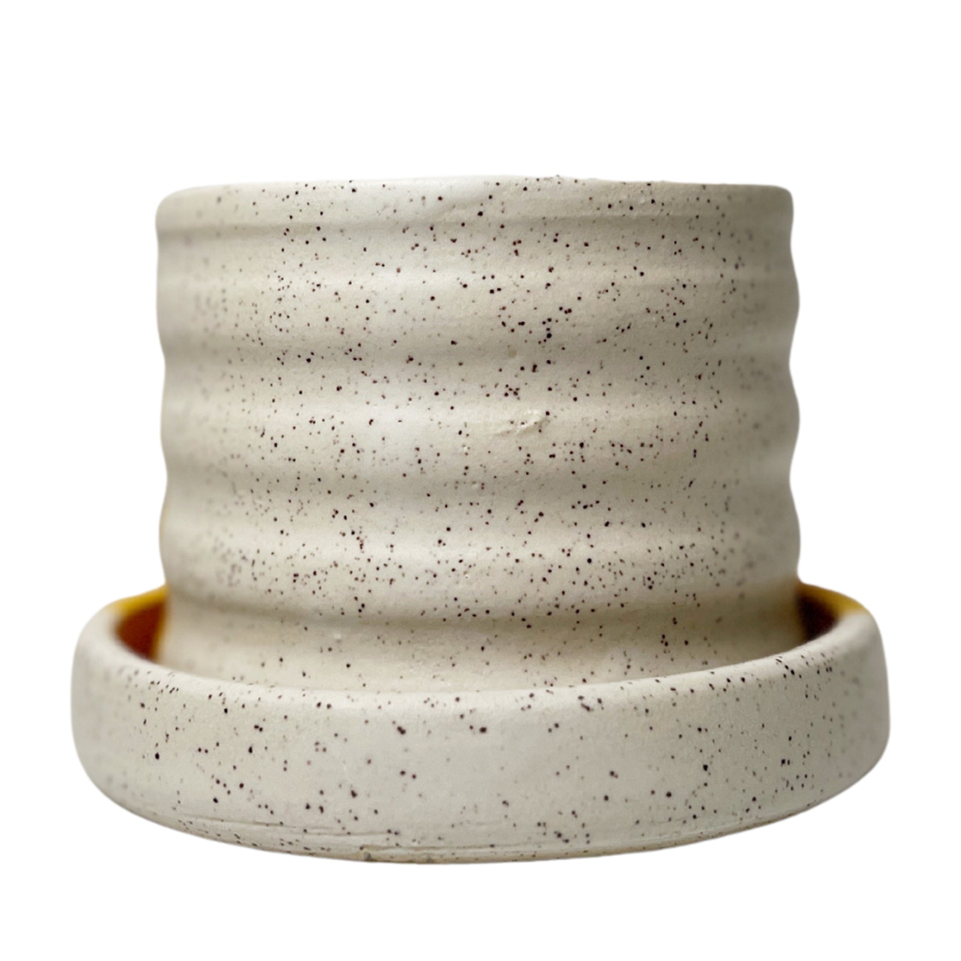 Bubble Planter – Tender Loving Empire