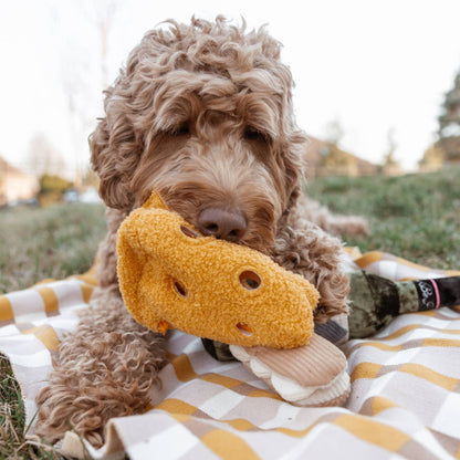 Fromage Enrichment Toy