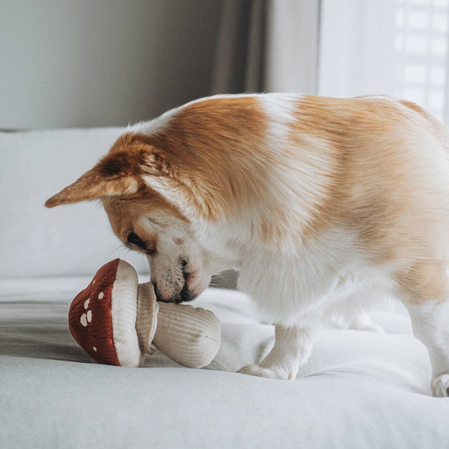 Shroom Snuffle Toy