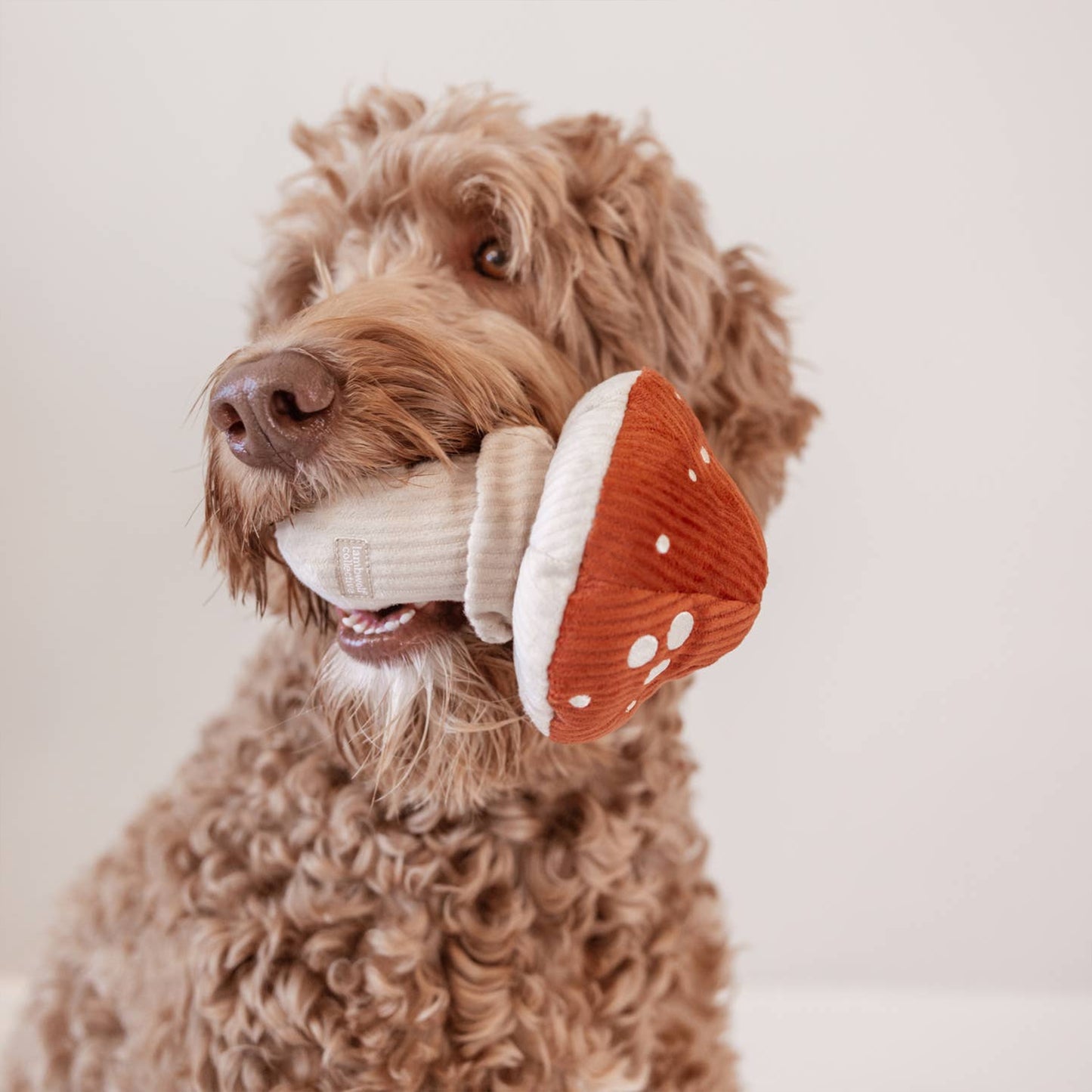 Shroom Snuffle Toy