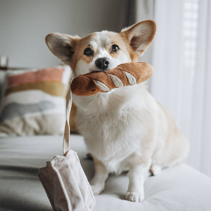 Mini Baguette Nosework Toy