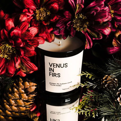 Venus in Firs Candle