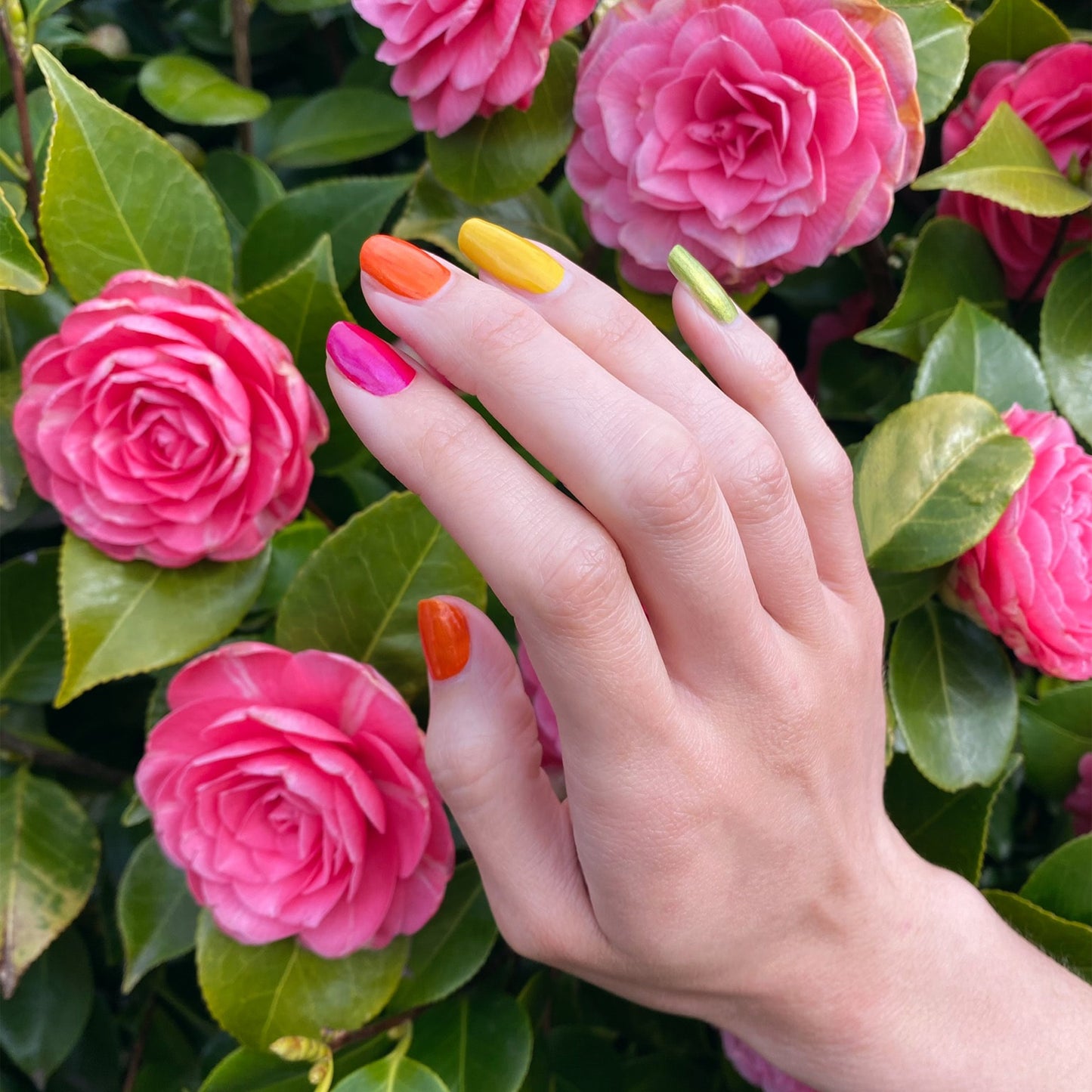 Clementine Nail Polish