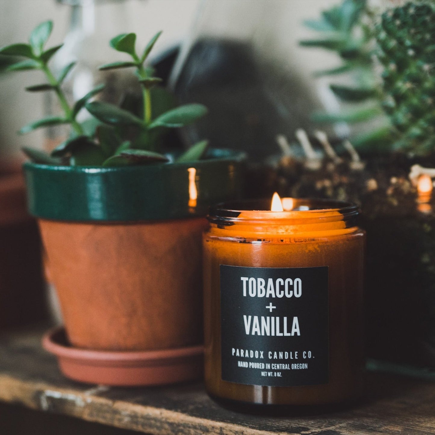 Tobacco + Vanilla Soy Candle 8oz