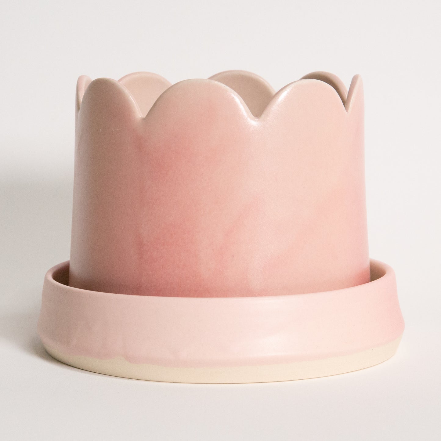 Groove Plant Home in Blush