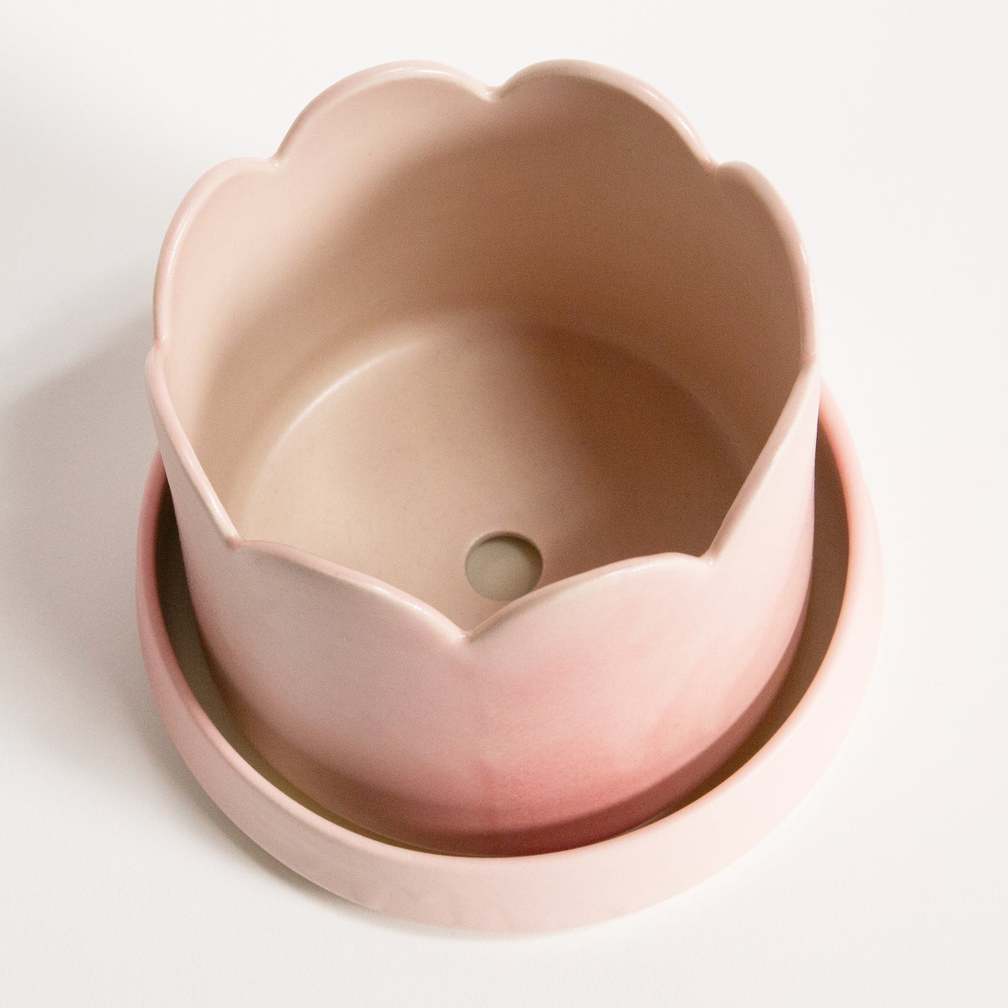 Groove Plant Home in Blush