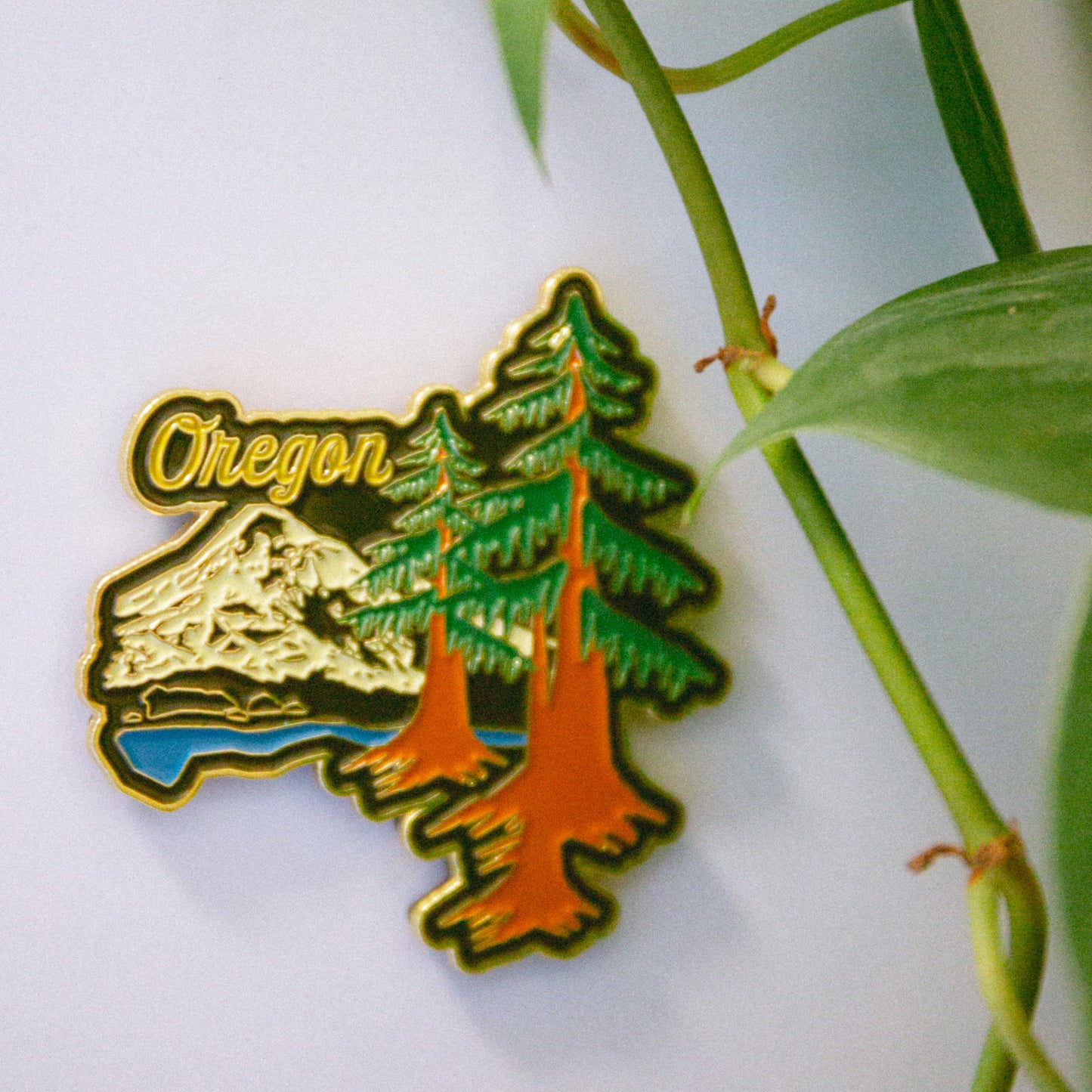 Retro Oregon Enamel Magnet