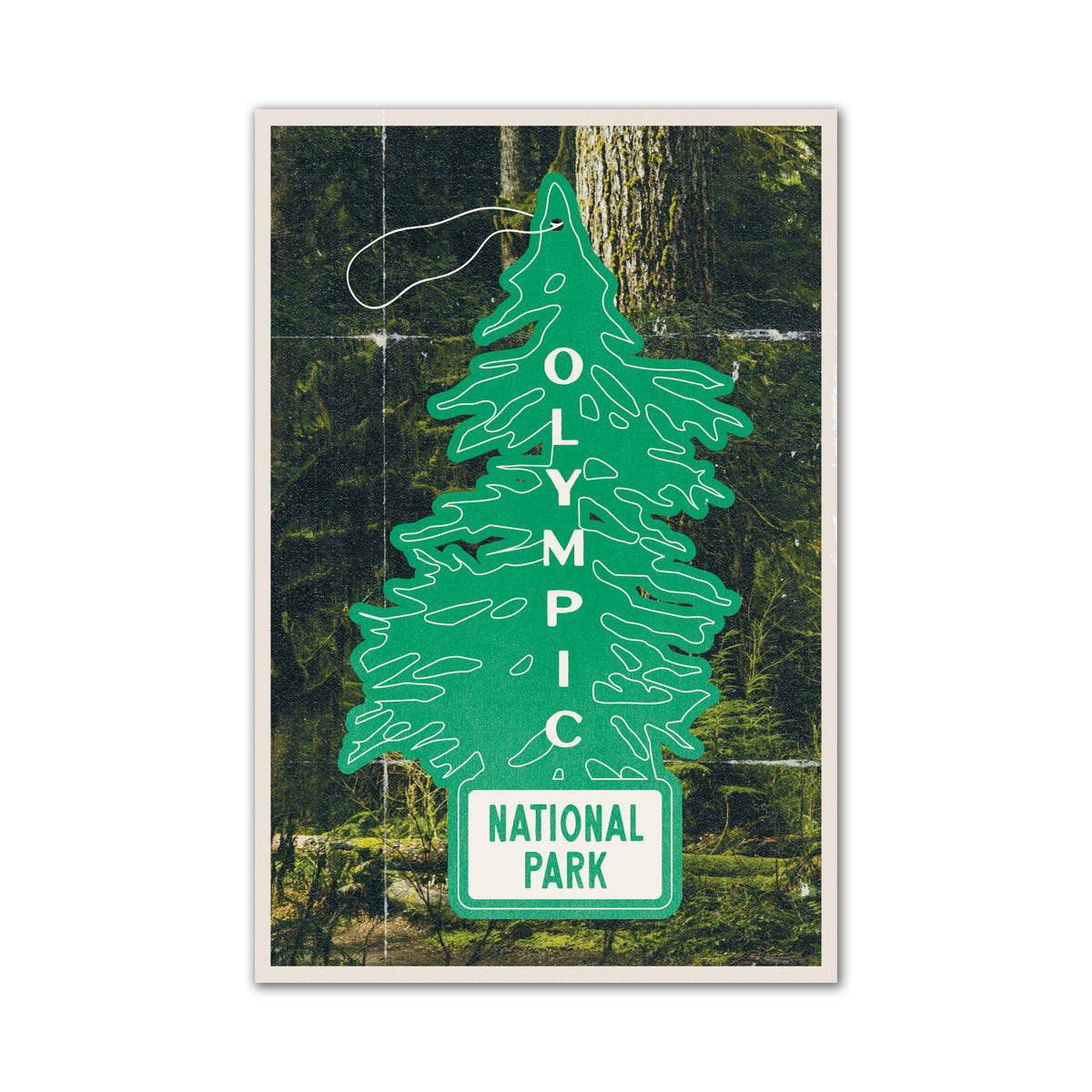 Olympic NP Postcard
