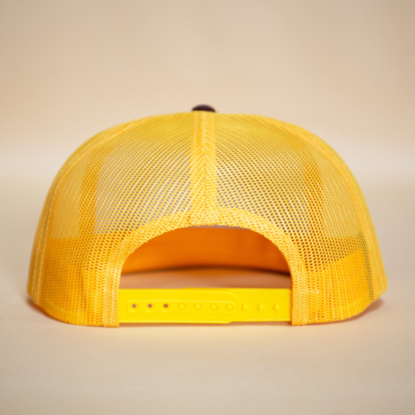 PNW Trucker Hat (Brown/Gold)