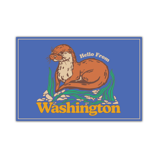 Washington Baby Otter Postcard