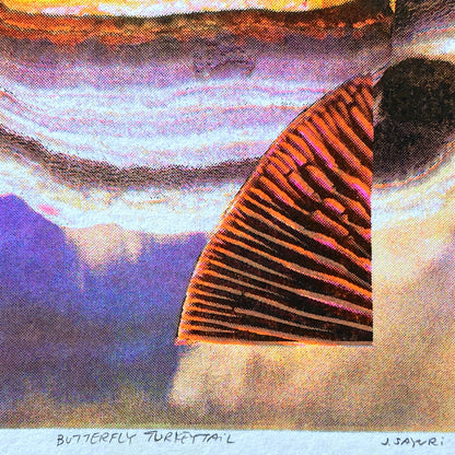 Tiny Pink Shoe: Butterfly Turkeytail Riso Print