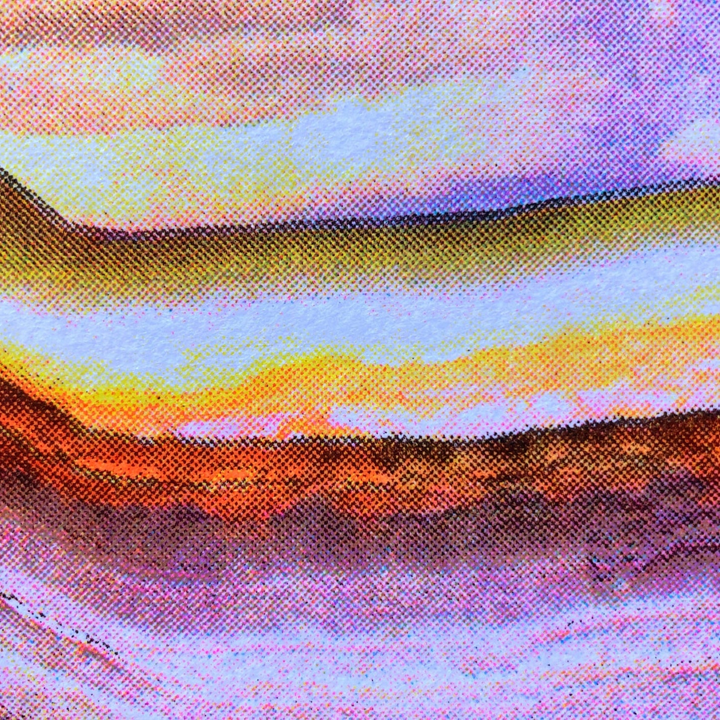 Tiny Pink Shoe: Butterfly Turkeytail Riso Print