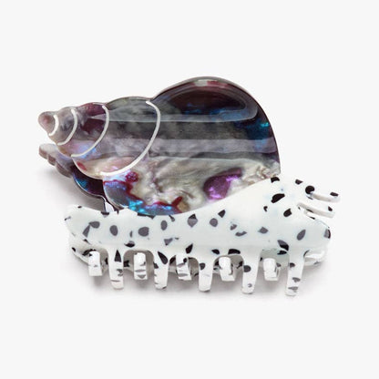 Spotted Whelk Sea Snail Claw