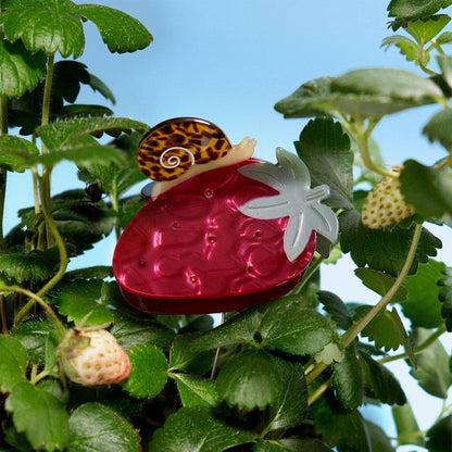 Strawberry Garden Snail Claw