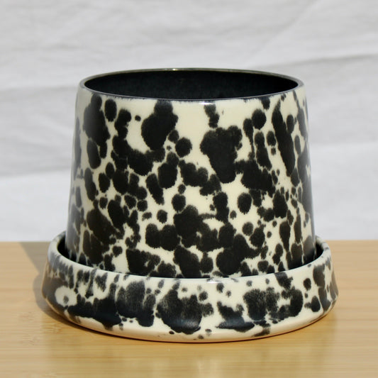 Groove Plant Home in Meteor Splatter