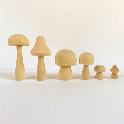 DIY Mushroom Painting Kit (10+ Yrs)