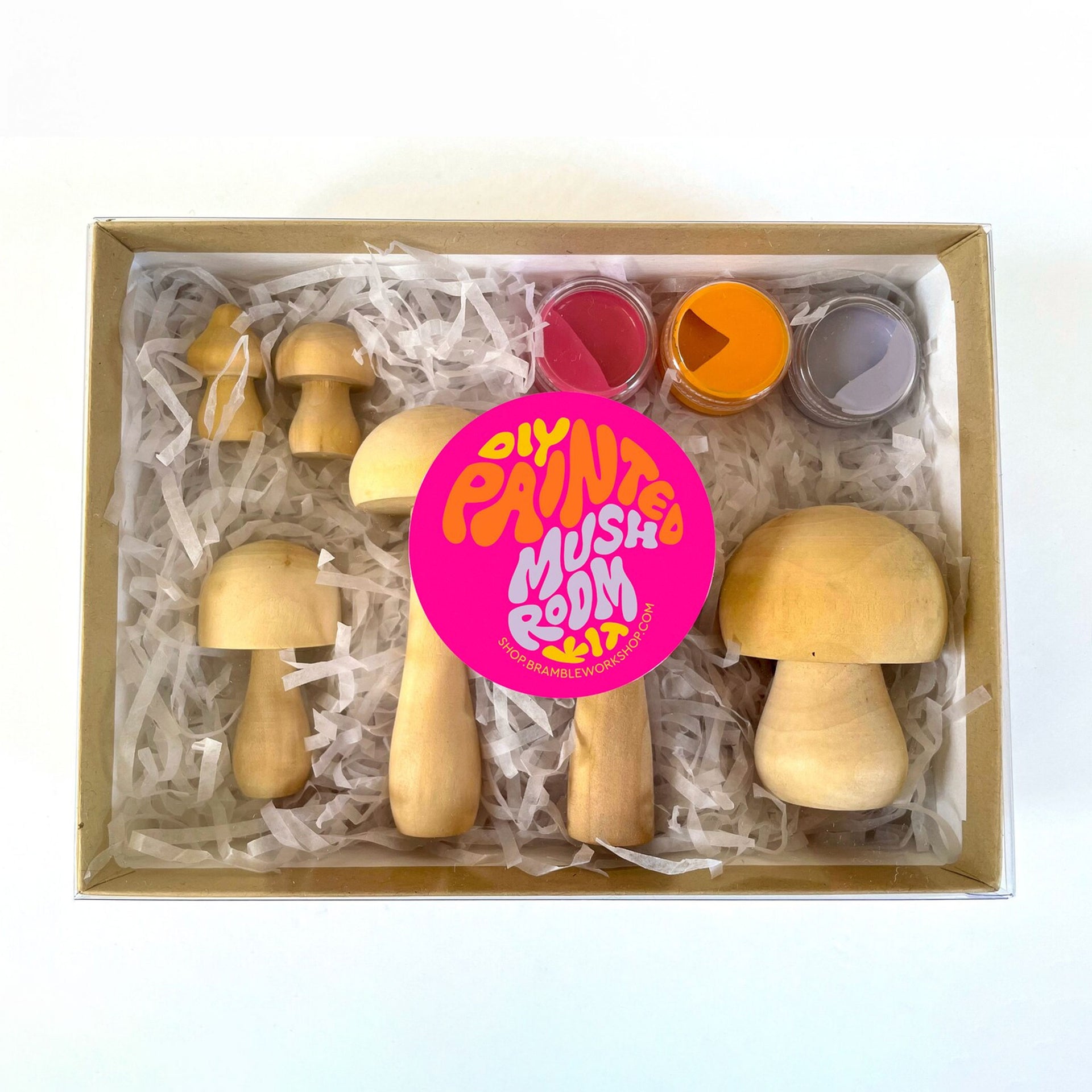 DIY Mushroom Painting Kit (10+ Yrs) – Tender Loving Empire