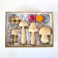 DIY Mushroom Painting Kit (10+ Yrs)