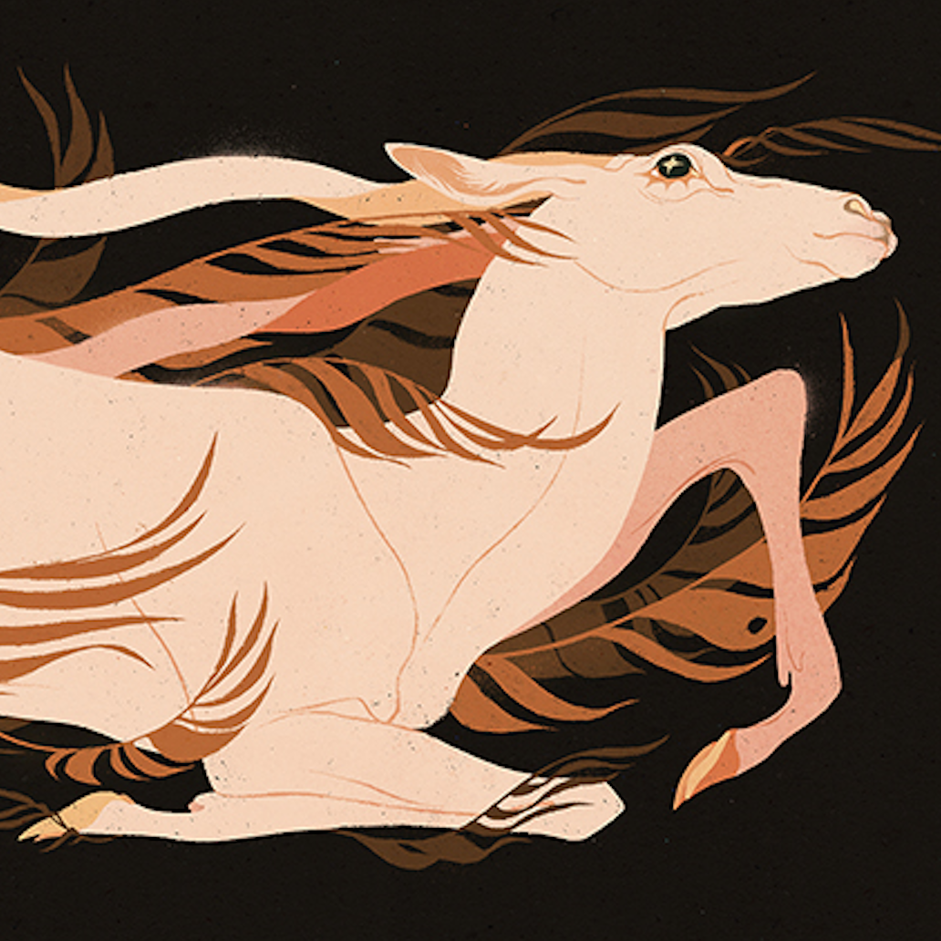 Samantha Mash: Pale Antelope Print