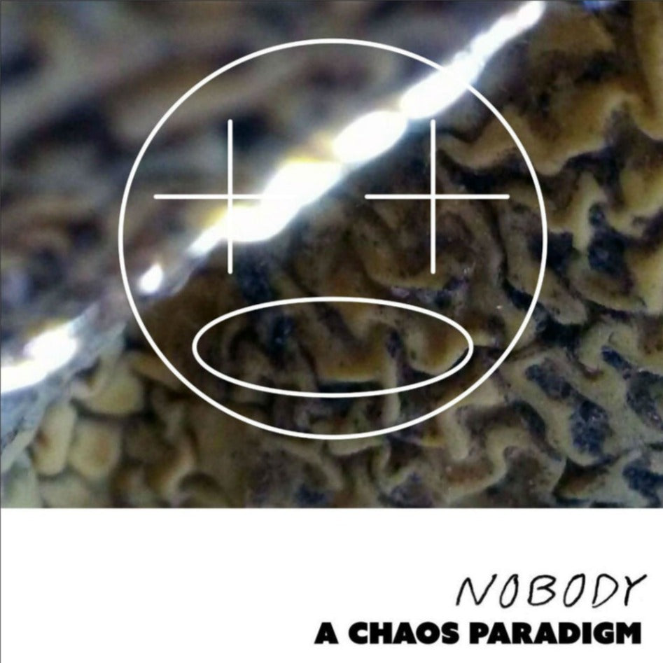 Willis Earl Beal - A Chaos Paradigm